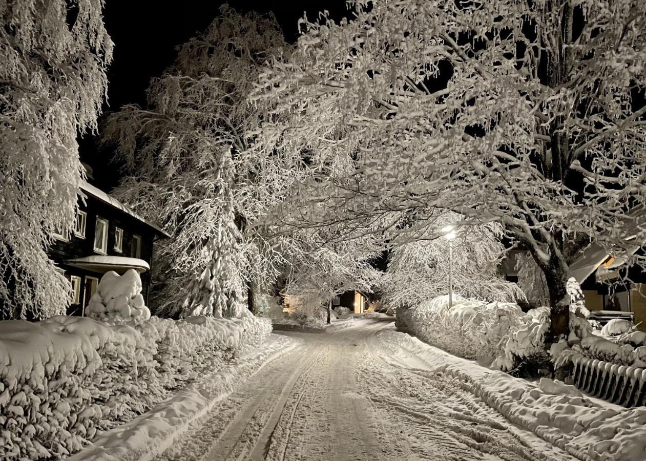 Schoene Bergsicht กอสลาร์ ภายนอก รูปภาพ